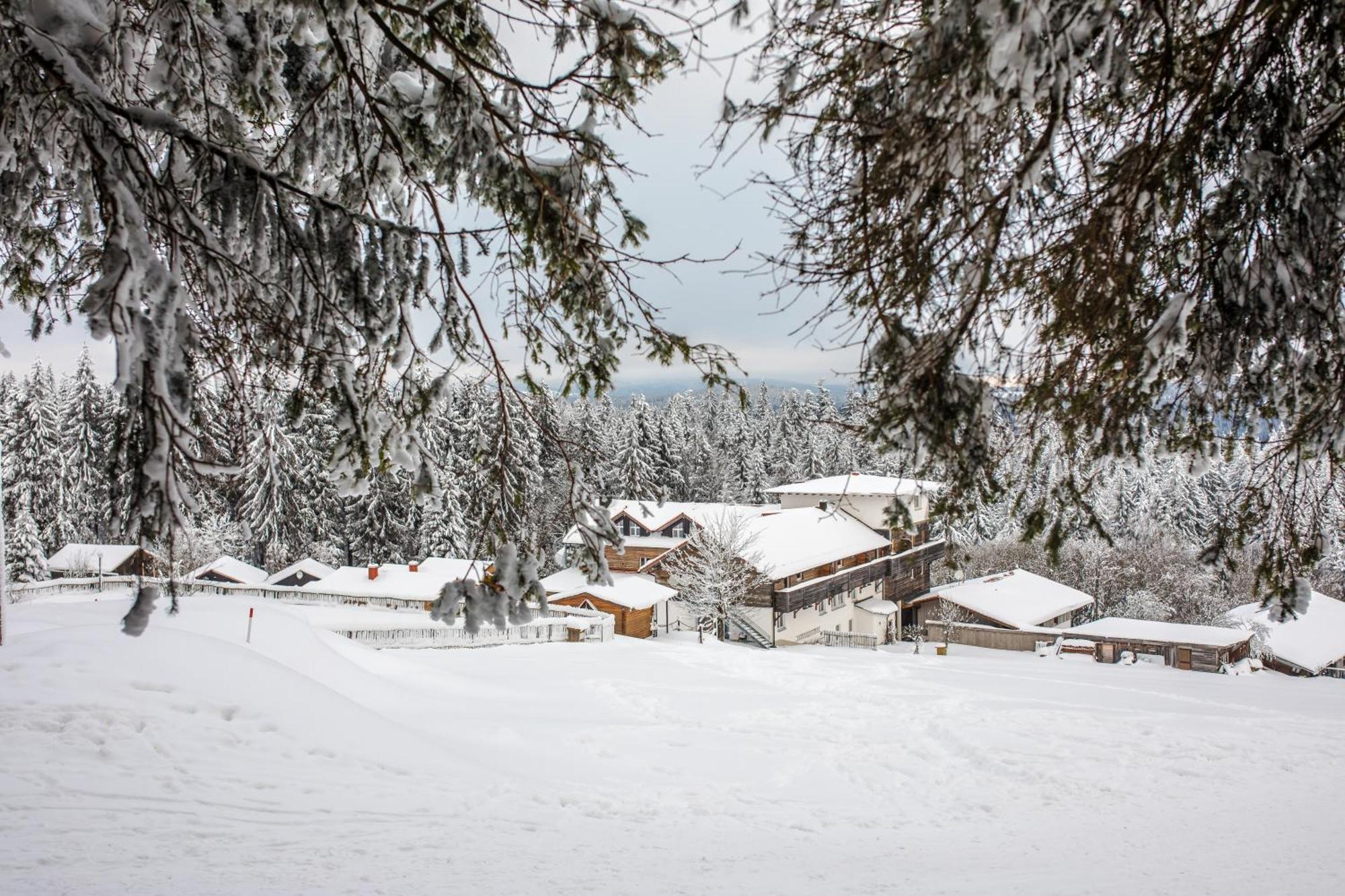 Hunderesort Waldeck - 4 Sterne Urlaub Mit Hund ฟิลิปป์ซรอยท์ ภายนอก รูปภาพ