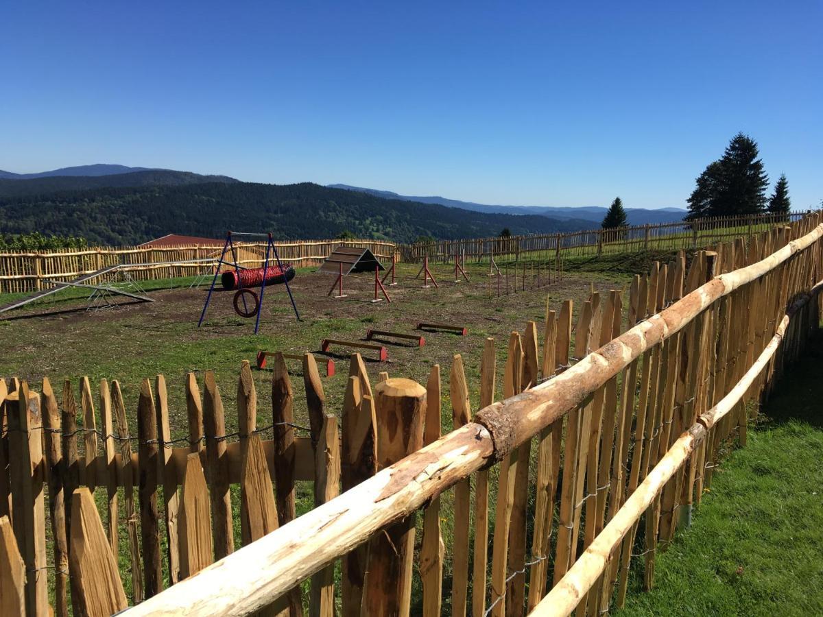 Hunderesort Waldeck - 4 Sterne Urlaub Mit Hund ฟิลิปป์ซรอยท์ ภายนอก รูปภาพ